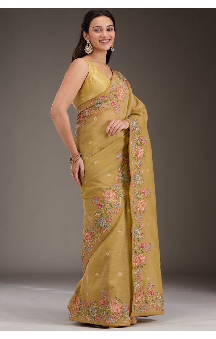Drape view showcasing pallu and border detailing