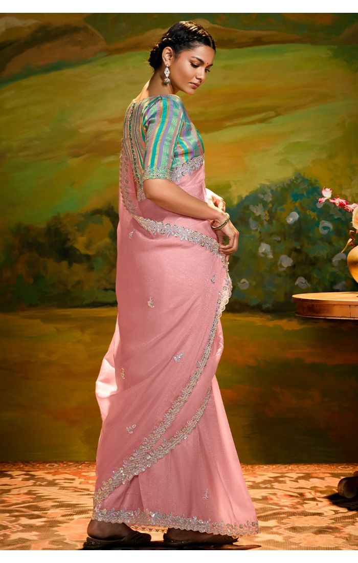 Back view of peach saree with multicolor raw silk blouse